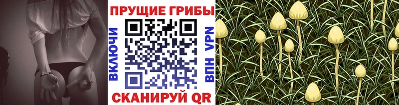 Купить закладки  Лобня  Псилоцибиновые грибы прущие грибы 